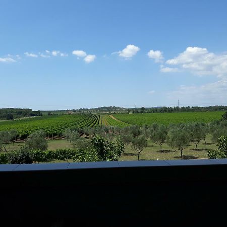 Apartma Solmar Medolino Esterno foto