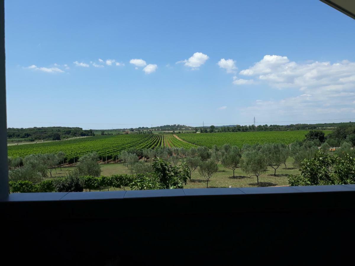 Apartma Solmar Medolino Esterno foto
